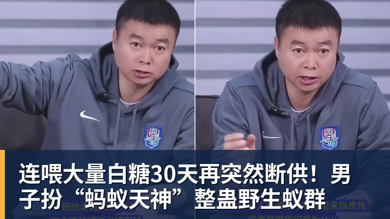 连喂大量白糖30天再突然断供！男子扮“蚂蚁天神”整蛊野生蚁群
